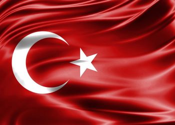 Türk Milletinin Başı Sağolsun