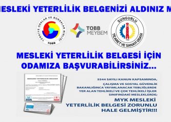 MESLEKİ YETERLİLİK SINAVI Hakkında